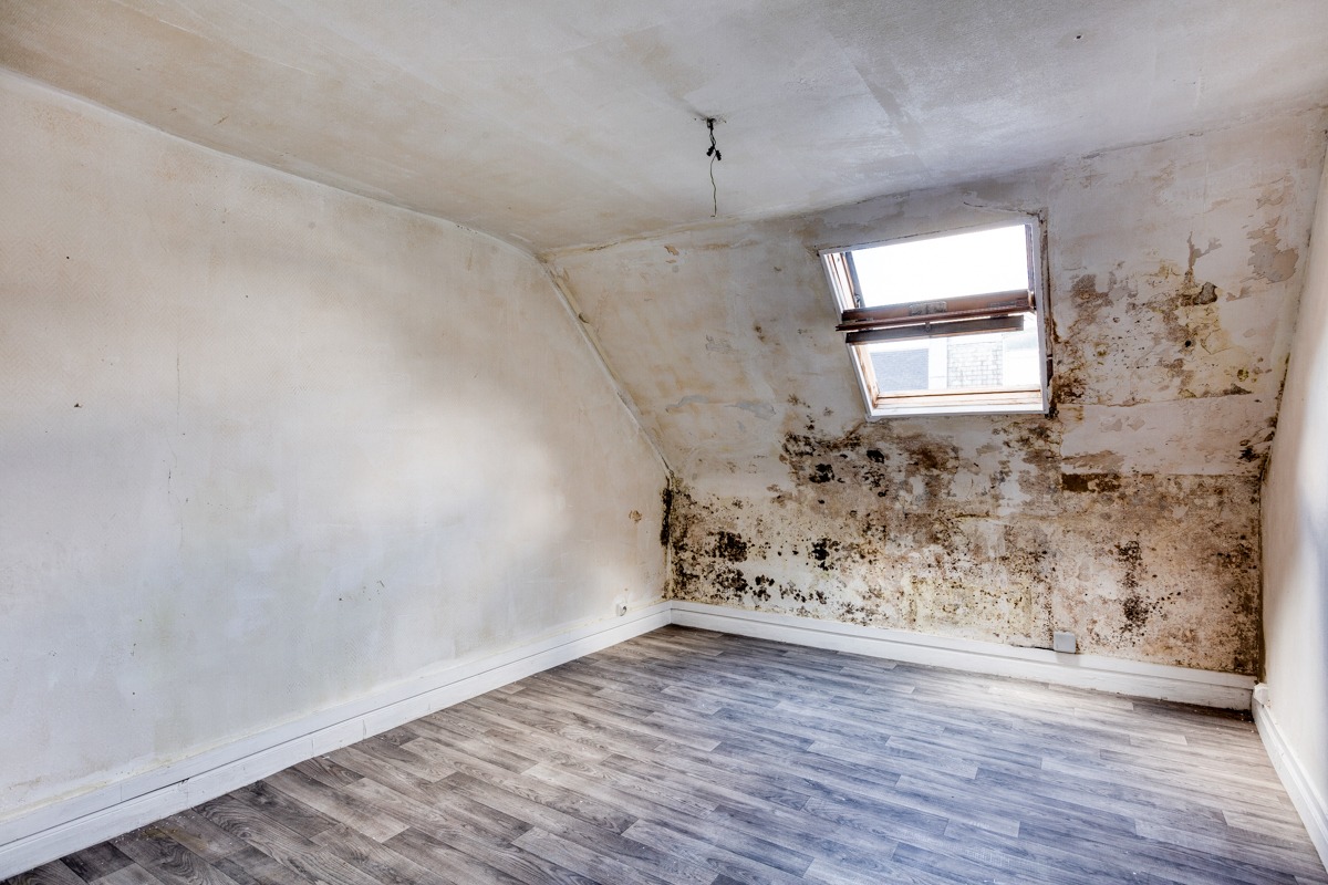 Rénovation chambre immeuble avant travaux investissement locatif